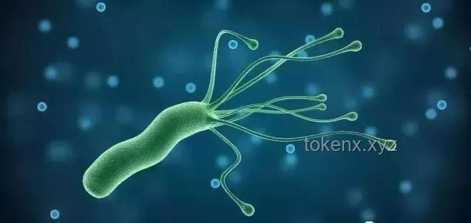 “這個細菌一人感染全家都得查”——幽門螺桿菌家庭感染案例研究