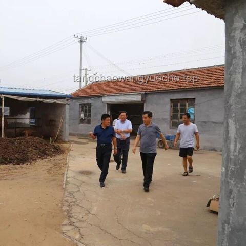 山東鄉村振興新典范：樓房分配背后的產業與民生融合探索