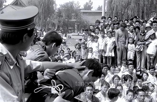 “陜西版孫小果”獲死刑，嚴(yán)打“紙面服刑”成未來(lái)趨勢(shì)