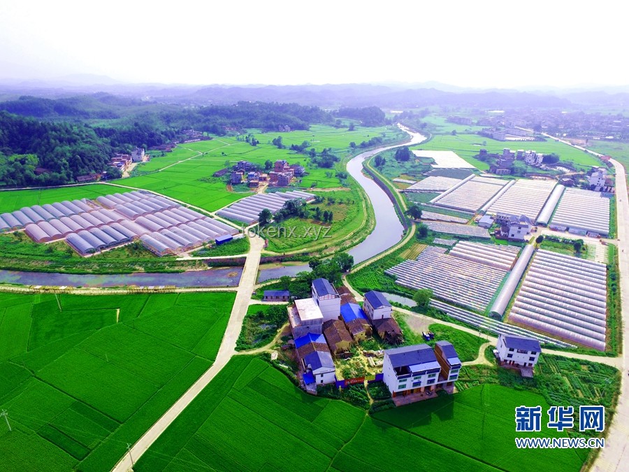 習近平的文化足跡：薪火相傳的創意之旅