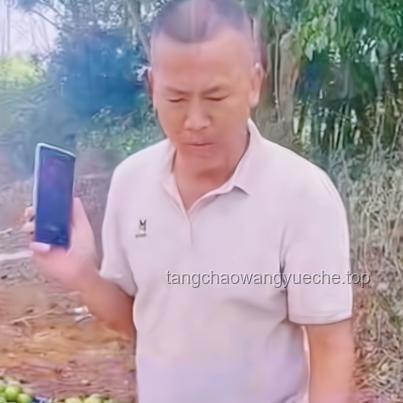 進口水果價格跳水：應對策略與市場穩定方案