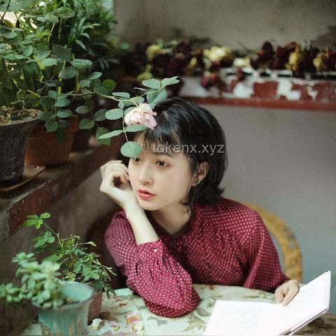 **紅狼：從黑暗走出，為世界添光的旅程**