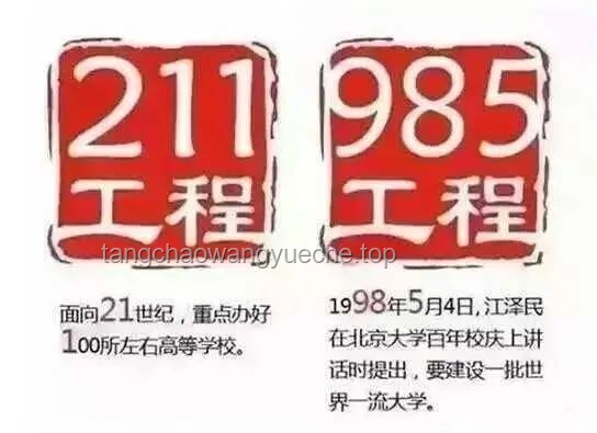「末流 985」與「頂級 211」抉擇新趨勢：未來教育投資與職業發展路徑