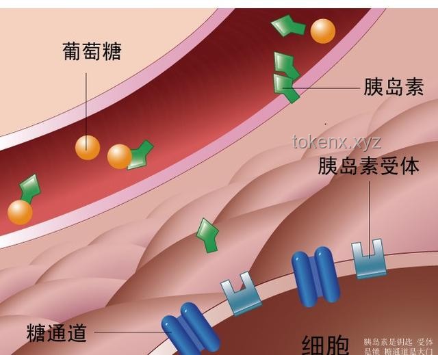 如何充分利用高敏感這一珍貴天賦，實現個人成長與和諧人際