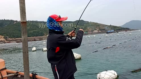 探秘巨物釣場：與小飛哥共釣大青魚，解鎖賺錢新姿勢