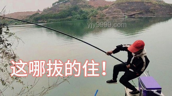 探秘巨物釣場：與小飛哥共釣大青魚，解鎖賺錢新姿勢
