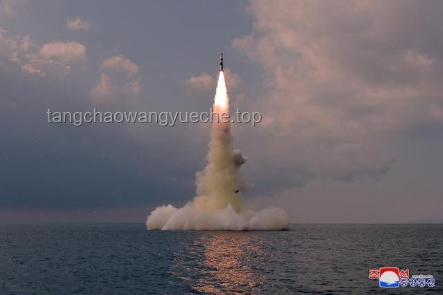 朝鮮軍需工業副部長被拘留事件始末
