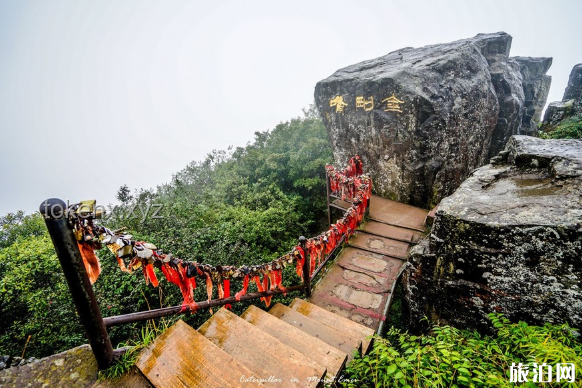 爬一次峨眉山到底有多難：實用登山指南