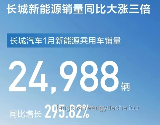 **深藍(lán)汽車CEO道歉事件：營(yíng)銷策略失誤與用戶信任危機(jī)的深度剖析**