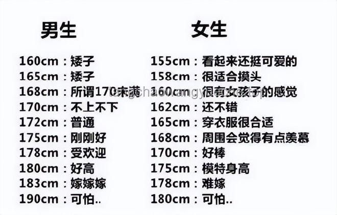 **男生最受女生歡迎的身高排名對比分析：揭秘理想身高的秘密**