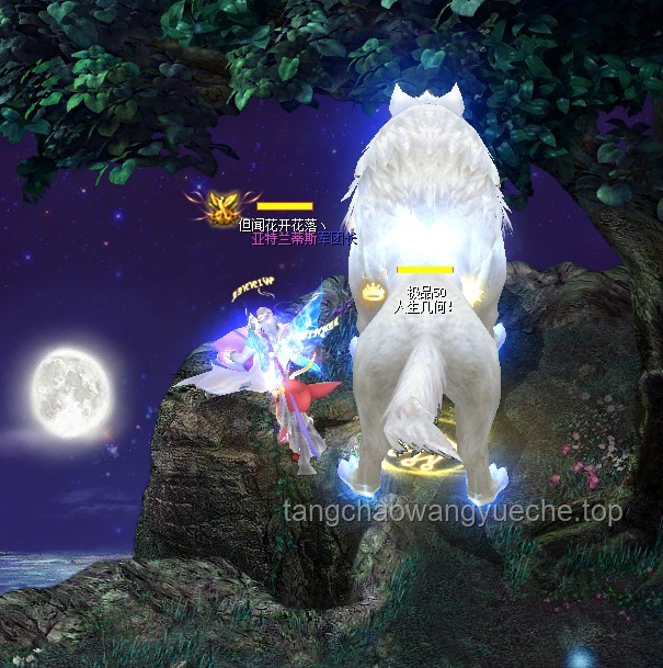 **今夜，無眠！那些與夜晚較勁的日子??**