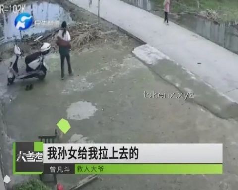 102歲老人墜樓被救與常規墜樓事件的對比分析：社會互助與應急響應