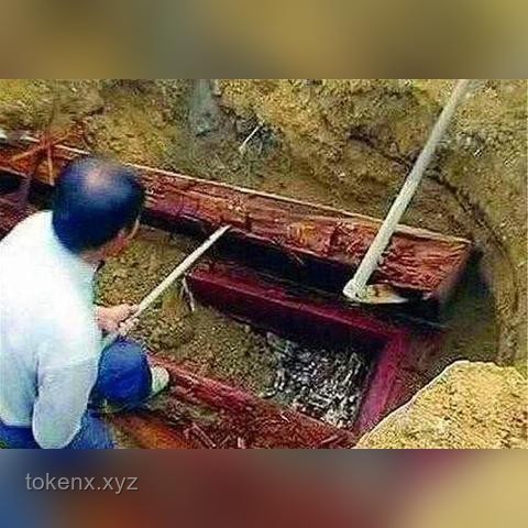 400年歷史金絲楠木老屋焚毀事件深度解析