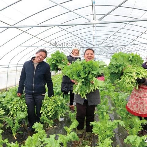 貴州高齡產婦順利產子引發行業新視角：高齡生育醫療技術與服務革新