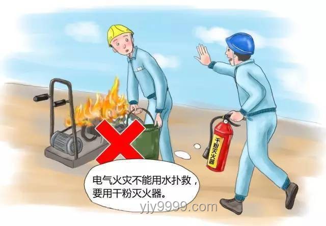 上海維修工防“鼠從天降”實用指南：安全作業全攻略