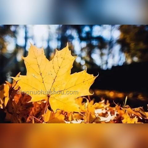 真正厲害的父母，從不用小事內(nèi)耗孩子：深度解析家庭教育的智慧與策略