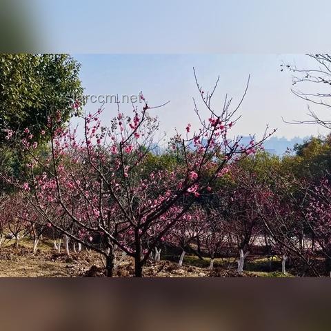 《黑神話：悟空》里探尋的山西古跡之旅，打卡攻略大放送