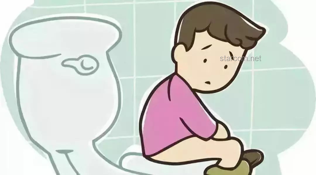 “拉屎自由”背后的真相與實現指南：打造個人舒適排便環境