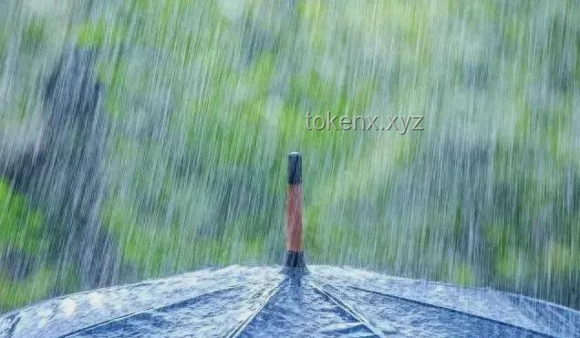 新一輪大范圍強降雨來襲，端午假期天氣多變，農業、旅游如何應對？