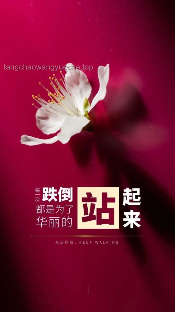 早晨起床這樣發朋友圈，“出門見喜，遇見貴人”，打造正能量開場