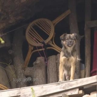 35歲小伙不結婚，爆改山洞隱居4年：打造個人世外桃源實用指南