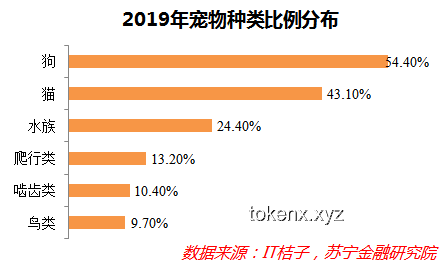 哈佛“國際禁招令”被叫停：政策風波背后的多維度對比分析