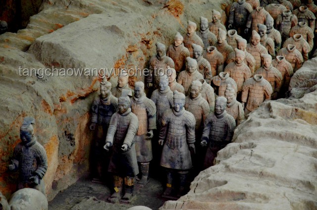 文旅局深入調(diào)查男子掉進(jìn)兵馬俑坑事件：文物保護(hù)與景區(qū)管理再審視