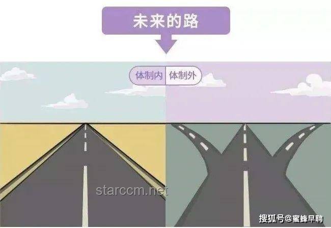 老板現場發百萬讓員工帶薪收麥：企業管理新趨勢與員工關懷深度剖析