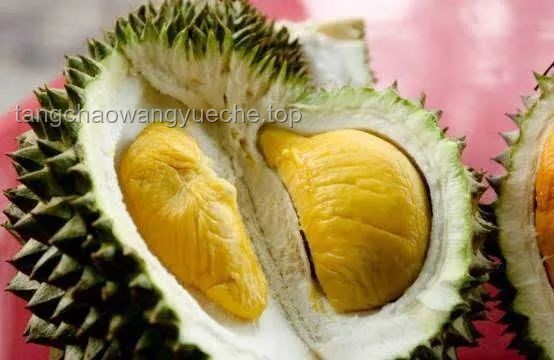 **榴蓮風波下的旅行創新思維：解鎖新加坡的“隱形規則”**