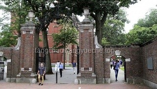 特朗普又輸了？對哈佛政策被叫停的全面對比分析