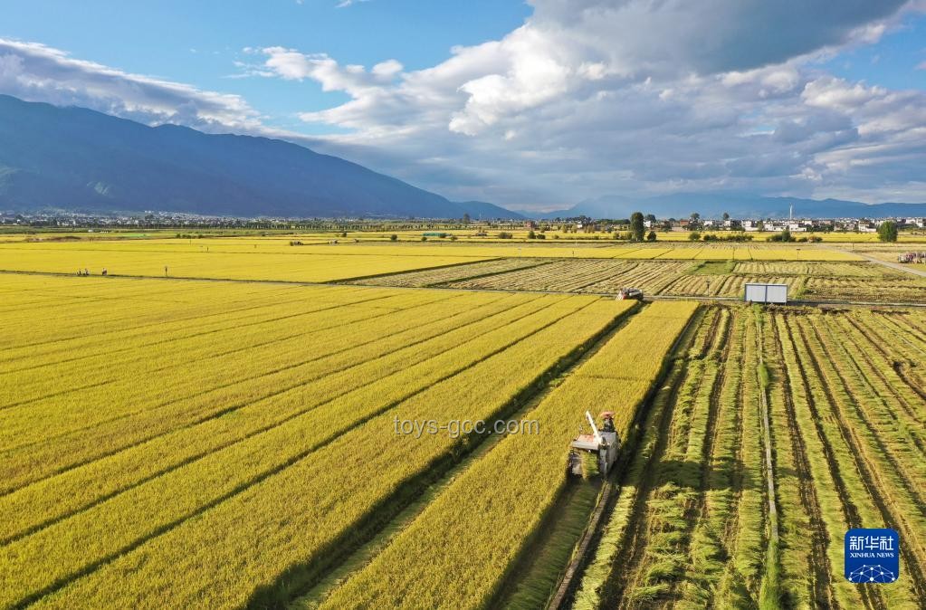 旅游收獲對比：除了照片，你還得到了什么？