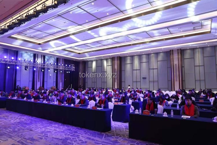 下一部的歷史類「全面戰爭」系列游戲，可能具備哪些創新元素？