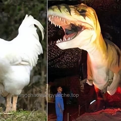 如果雞是恐龍的后代，它們保留了哪些恐龍時代的特征？???? 生物學(xué)探秘, 恐龍遺跡, 鳥類進化, 科學(xué)推理, 自然奧秘