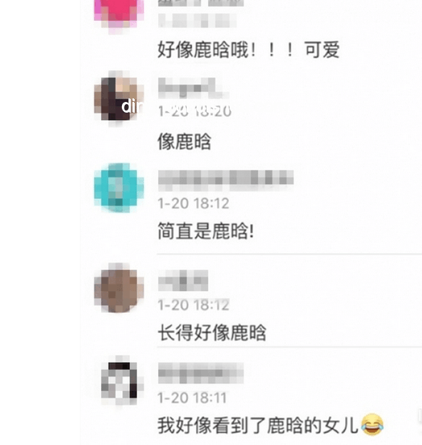 央視2025端午特別節目與歷年節目對比分析
