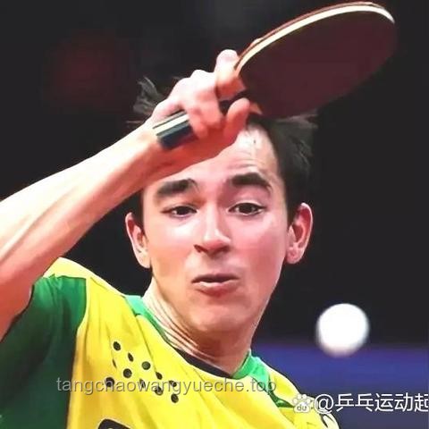 **樊振東與莫雷加德：從對手到隊(duì)友的榮耀之旅**