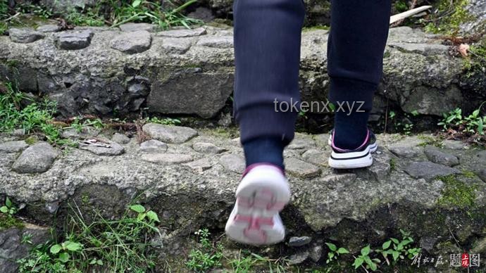 福建8歲男童失蹤近一個月：全面搜救與預防策略