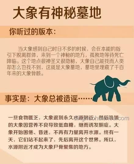 職場早鳥現(xiàn)象與行業(yè)動(dòng)力解析：早到心態(tài)與行業(yè)效率