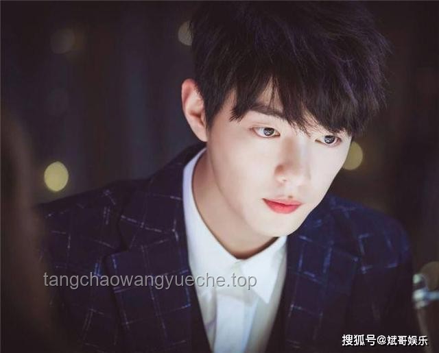 龍舟與吳彥祖：傳統(tǒng)文化符號與現(xiàn)代偶像魅力的對比分析