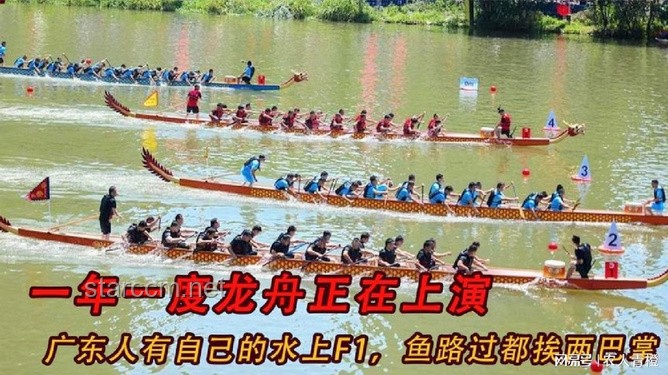 廣東人自己的“水上F1”龍舟賽：傳統文化與現代激情的碰撞