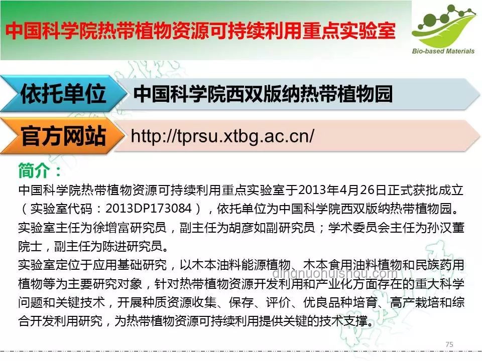 全合成的意義：解鎖化學新材料的未來之路