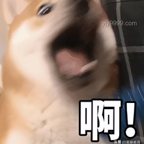 多國名校為何瘋搶哈佛留學(xué)生？
