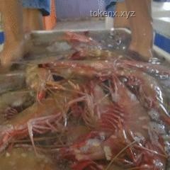 國(guó)足出征印尼25人大名單深度分析