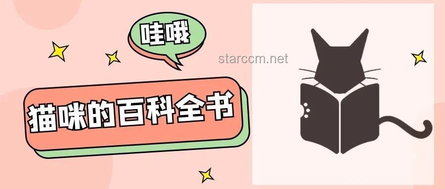 新的吧唧轉(zhuǎn)場(chǎng)創(chuàng)意實(shí)戰(zhàn)指南