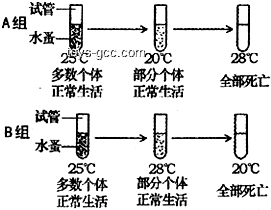 人長(zhǎng)期生存的水溫范圍：恒溫水體中的奧秘