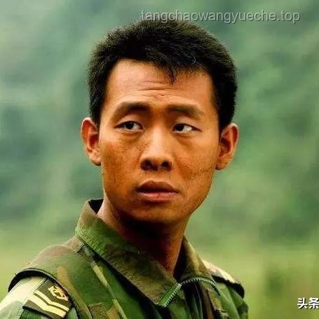 張譯官宣息影背后的趣談：明星與擼貓文化的交融