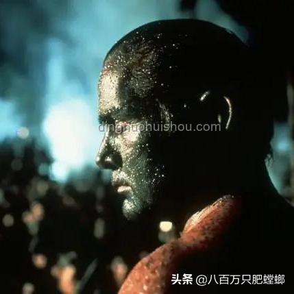 雨林奇遇：UP主荒野求生的創新冒險啟示錄,跨界生存挑戰