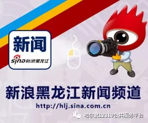 《小楊有約16》熱度將持續攀升：小精靈real引領內容創新潮流
