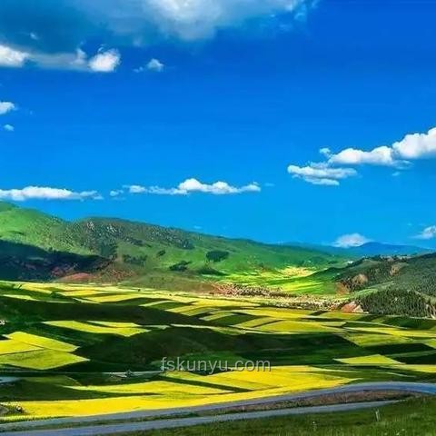 行業(yè)共治，守護消費安全——今日旁觀之禍，明日共擔(dān)之責(zé)