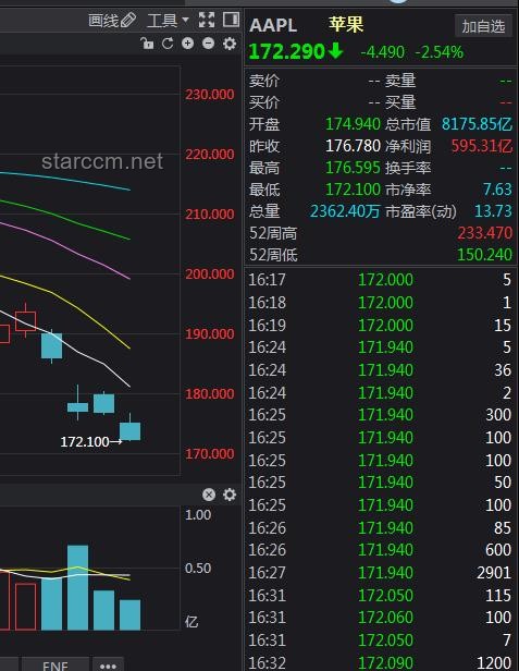 英偉達登頂：解鎖市值新高度，跨界融合創新術