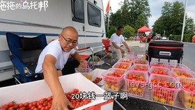 1500元切糕擺攤創業案例研究：大項目的收益預期與實踐